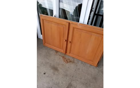 FACADE PLACARD BOIS 2 PORTES PM