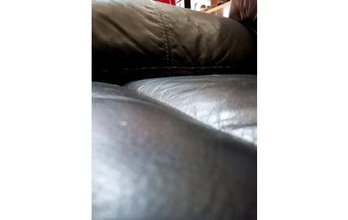 CANAPE RELAX MECANIQUE