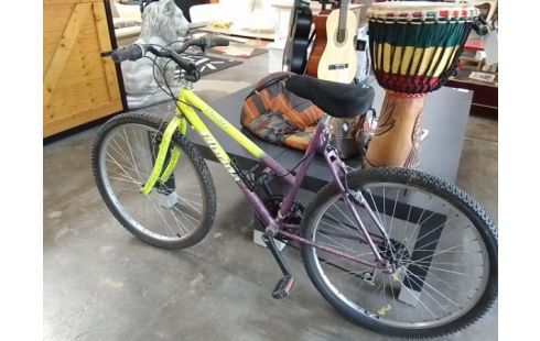 VELO 26 POUCES FLORIDA