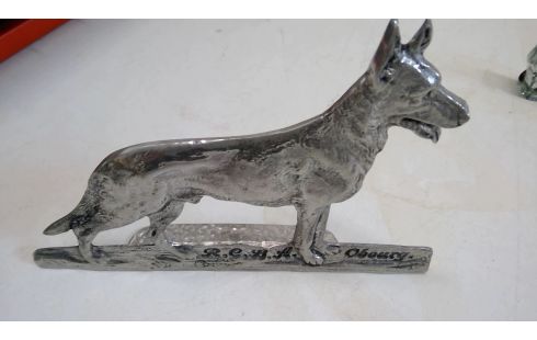 HOND ETAIN DUITSE SCHEPER