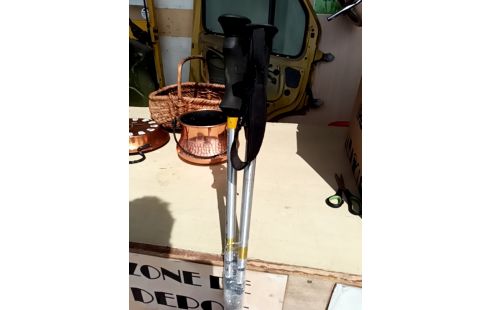 BATON DE RANDONNEE PAIRE