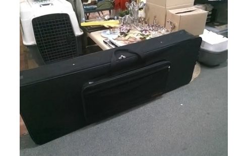 VALISE DE TRANS¨PORT SYNTHE STAGG