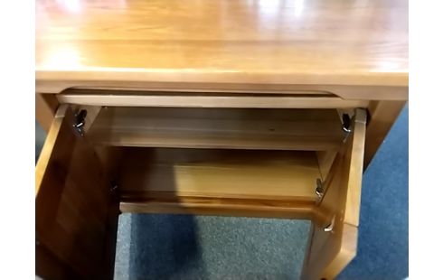 MEUBLE TV Orme massif dans le style Regain