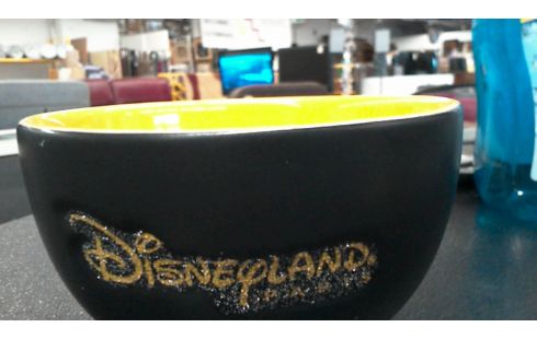 BOL MICKET EXCLUSIF DISNEYLAND PARIS