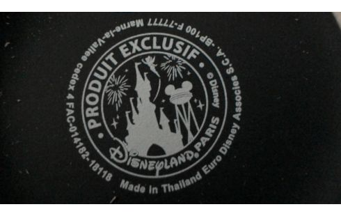 BOL MICKET EXCLUSIF DISNEYLAND PARIS