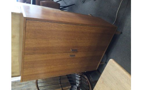 MEUBLE STYLE ANNEE 70 2 PORTES