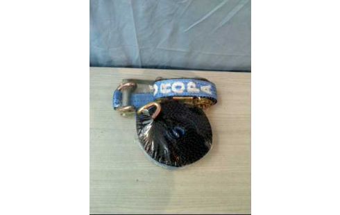 SPANNGURT SCHWERLAST