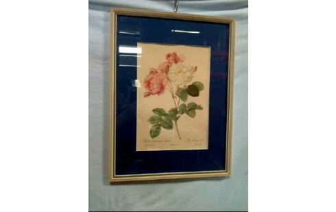 KUNSTDRUCK I.R. ROSEN <PIERRE JOSEPH>