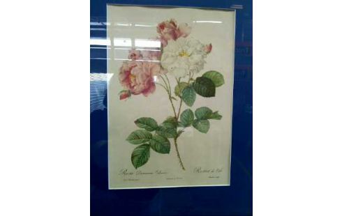 KUNSTDRUCK I.R. ROSEN <PIERRE JOSEPH>