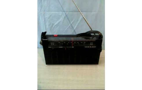 RADIO <CB-50-BLACKY> MIT TRAGEBAND