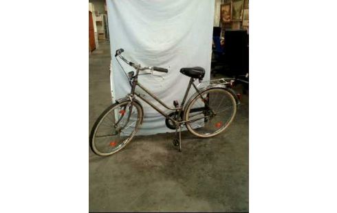 FAHRRAD <ARABELLA> GRAU