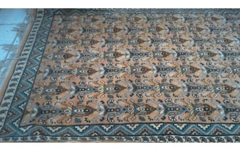 TAPIS FAIT MAIN L'AINE  255 PAR 160 CM