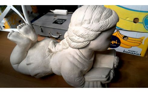 ANIMAL DECORATIVO JARDÍN CHICA MET, , LIBRO