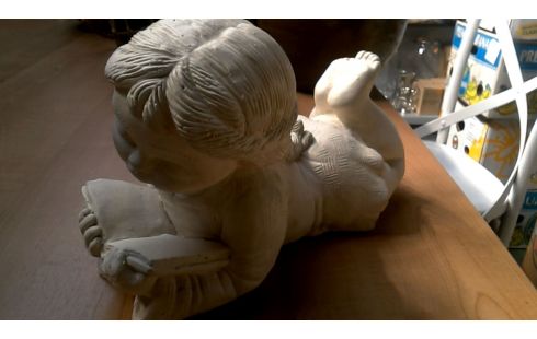 ANIMAL DECORATIVO JARDÍN CHICA MET, , LIBRO