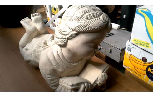 ANIMAL DECORATIVO JARDÍN CHICA MET, , LIBRO