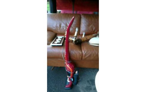 STAUBSAUGER ROT ELECTROLUX