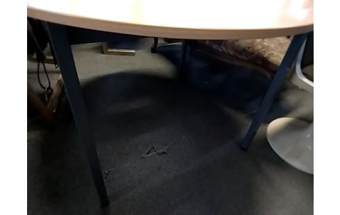 TABLE RONDE Hêtre 4 pieds diamètre 110cm