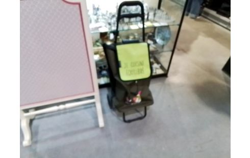 CHARIOT DE MARCHE VERT