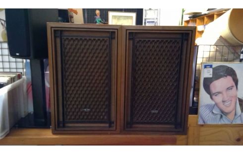 LUIDSPREKERS VINTAGE PAAR/AKAI