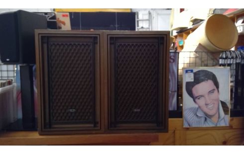 LUIDSPREKERS VINTAGE PAAR/AKAI