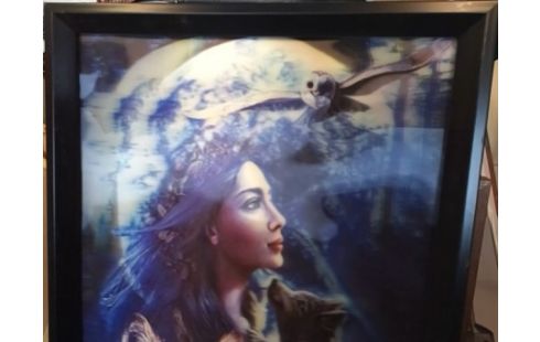 CADRE 3D FEMME AVEC ANIMAUX