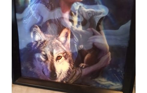 CADRE 3D FEMME AVEC ANIMAUX