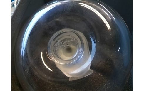 DECORATION LALIQUE MOINEAU