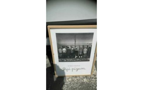 TABLEAU PIPI PIGEON 