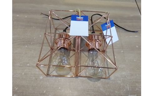 SUSPENSION TYPE INDUS L'UNITE