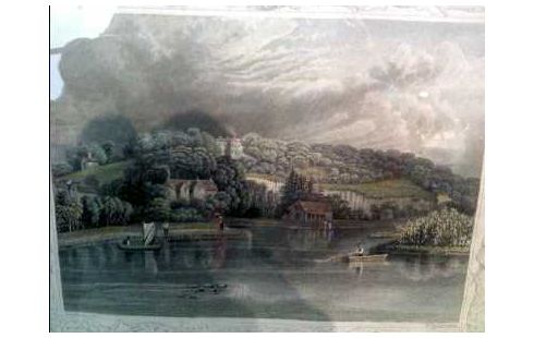 STAHLSTICH I.R. KOLOR. HEDSOR <W.TAYLOR>