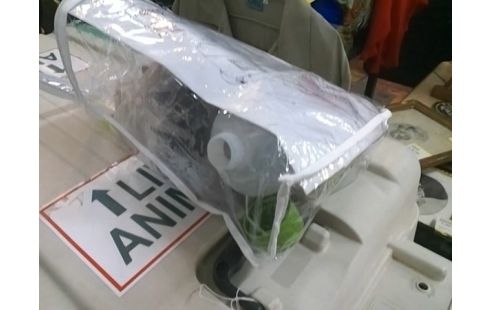 CAISSE DE TRANSPORT POUR CHIEN