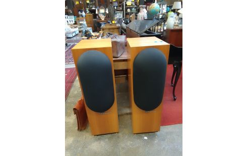 ENCEINTES COLONNE CABASSE EGEA500