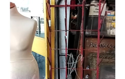 GRILLE DE DEFENSE HÉRISSON