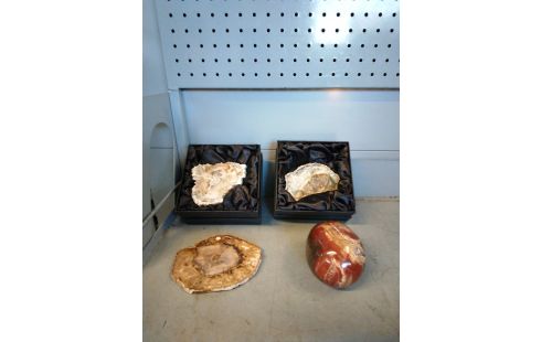 DECORATION FOSSILISÉE