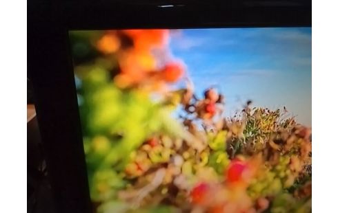 TELEVISEUR AYA 55 CM AVEC DECODEUR TNT HD + TELECOMMANDE