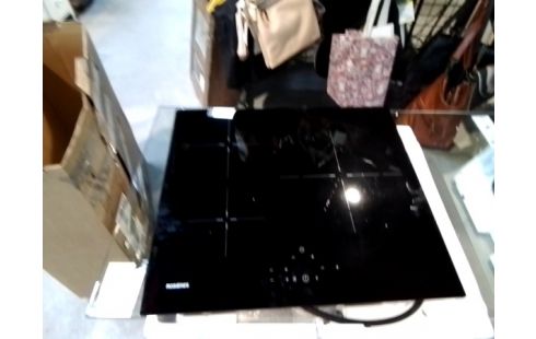 PLAQUE INDUCTION ROSIERES