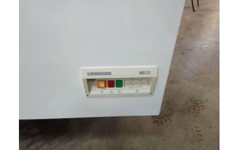 CONGELATEUR COFFRE LIEBHER 115W 291L