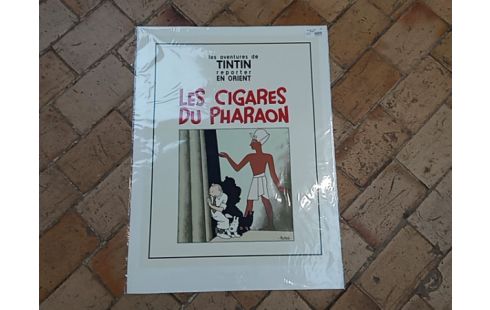 AFFICHE TINTIN
