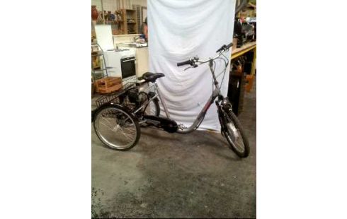 E-BIKE DREIRAD 24-ZOLL <DRAISIN-SENORA> GRAU