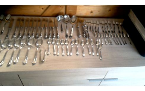 BESTEK VERZILVERD 72DELIG