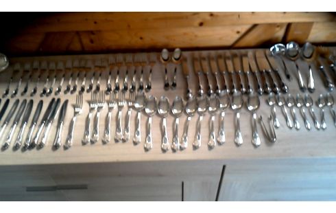 BESTEK VERZILVERD 72DELIG