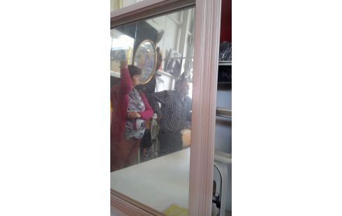 SPIEGEL ROZE HOUTEN KADER