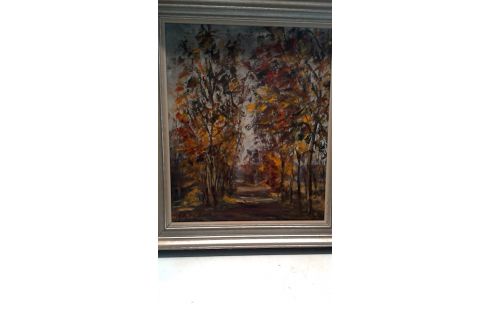 SCHILDERIJ OLIE/DOEK