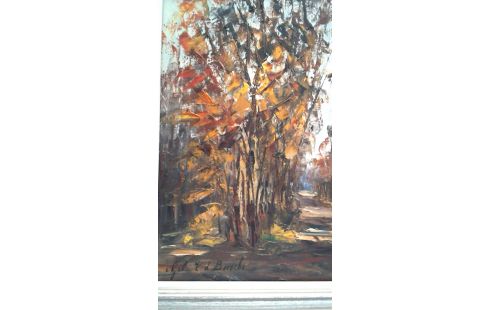 SCHILDERIJ OLIE/DOEK