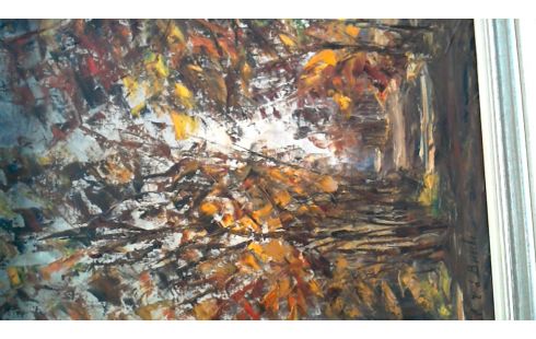 SCHILDERIJ OLIE/DOEK