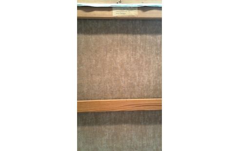 SCHILDERIJ OLIE/DOEK