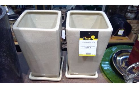 PAIRE DE CACHE POTS