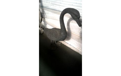 TUINBEELD EEND BRONS