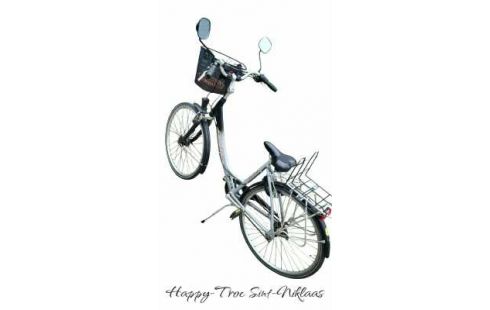 DAMESFIETS QUARDO GRIJS