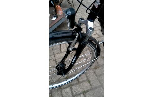 DAMESFIETS QUARDO GRIJS